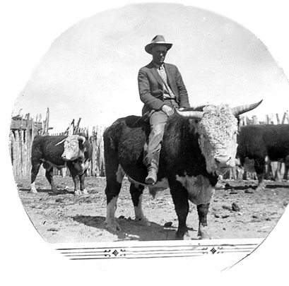 <adron posed riding a bull>