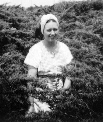 <johnie standing in tall shrubs date on back of photo aug. 16, 1947. photo probably made on a trip to san antionio after the same of the ranch.>