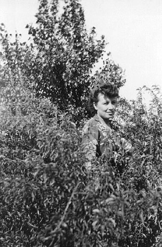 <Johnie ~ Plum bushes behind ranch house
July 26, 1945>