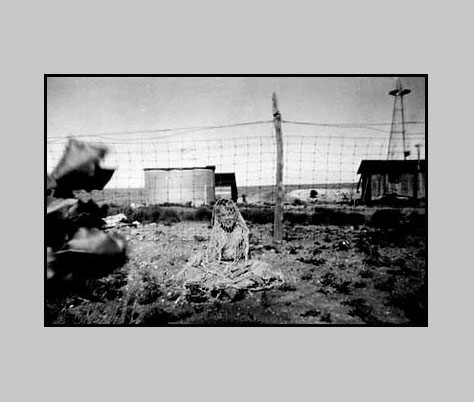 <terry playing with a net in the front yard of the ranch house. The water tank, wind charger, grandma turner's hired hand's bunk house and white bluf of loco draw shown in photograph>