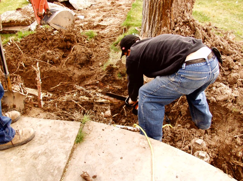water line repair tree root removal
