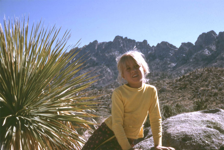 kelly organ mountains