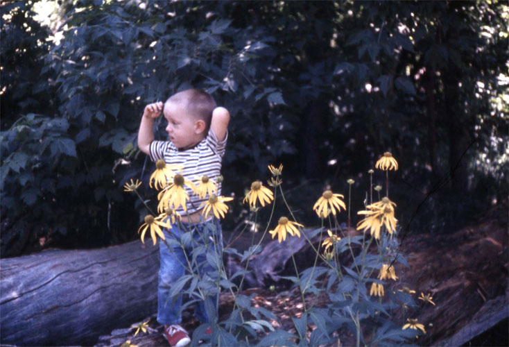 <yellow flowers ruidoso river>