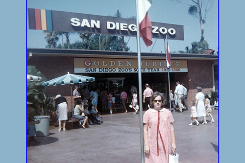 <san diego zoo 1966>
