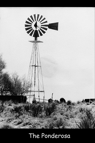 <ponderosa windmill>