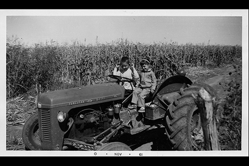 <alan karan tractor corn field>