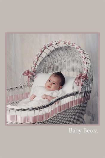 <bassinet>