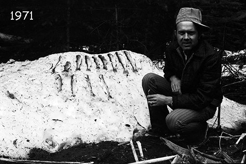 <trout fish colorado snow bank>