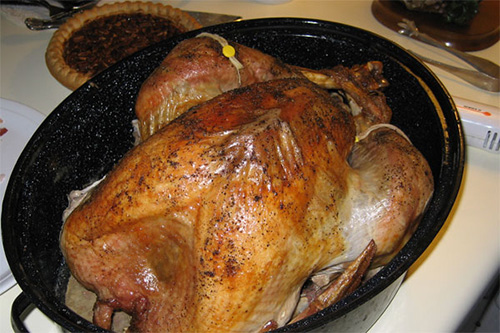 <thanksgiving turkey by janell>