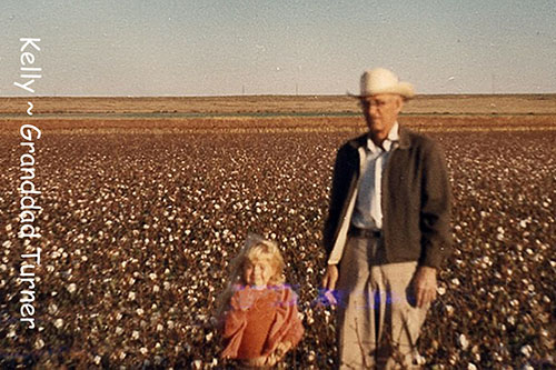 <cotton field>