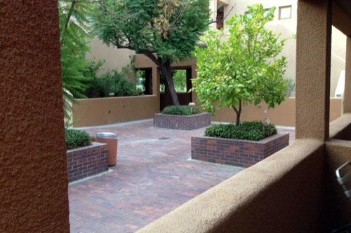 <orange tree patio>