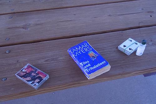 <street person's treasures book deck of cards six track tape picnic table burn lake>
