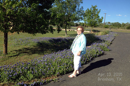 janell brenham texas bluebonnets 2015