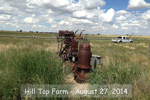 hill top farm august 2014
