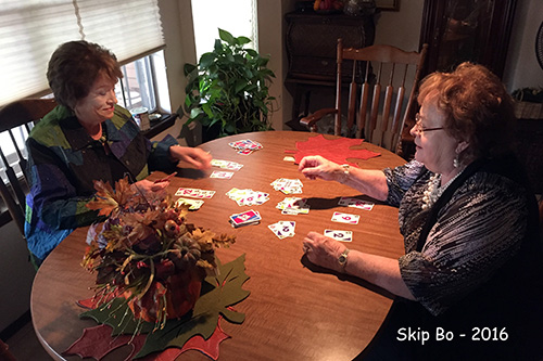 skip bo sandra janell 2016